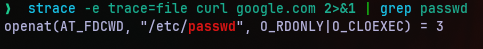 curl opening passwd